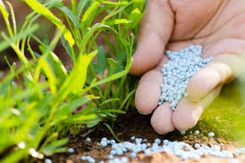 Export of fertilizers