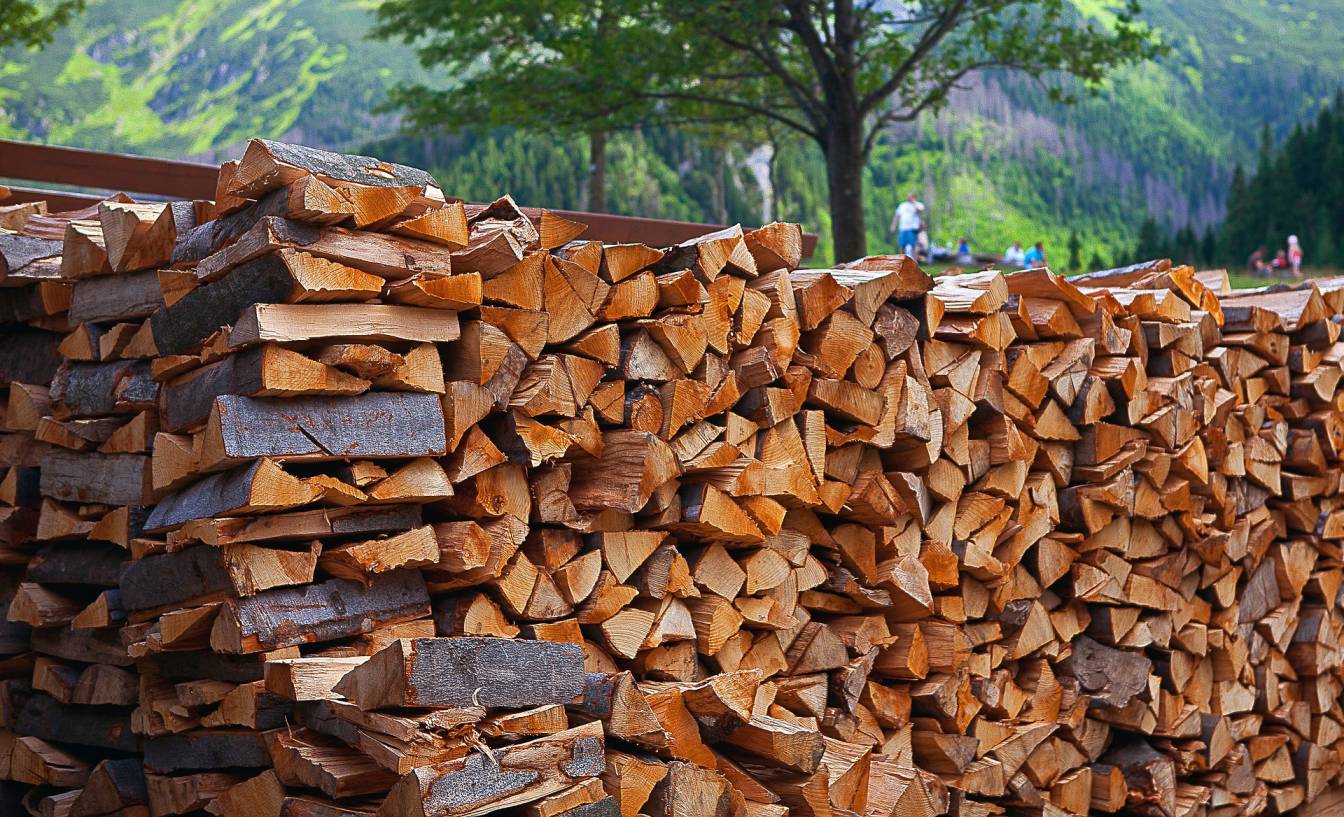 import or export of swan timber