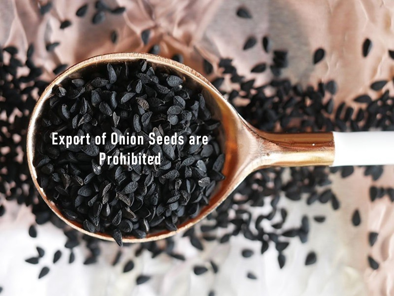 Export of onion seeds