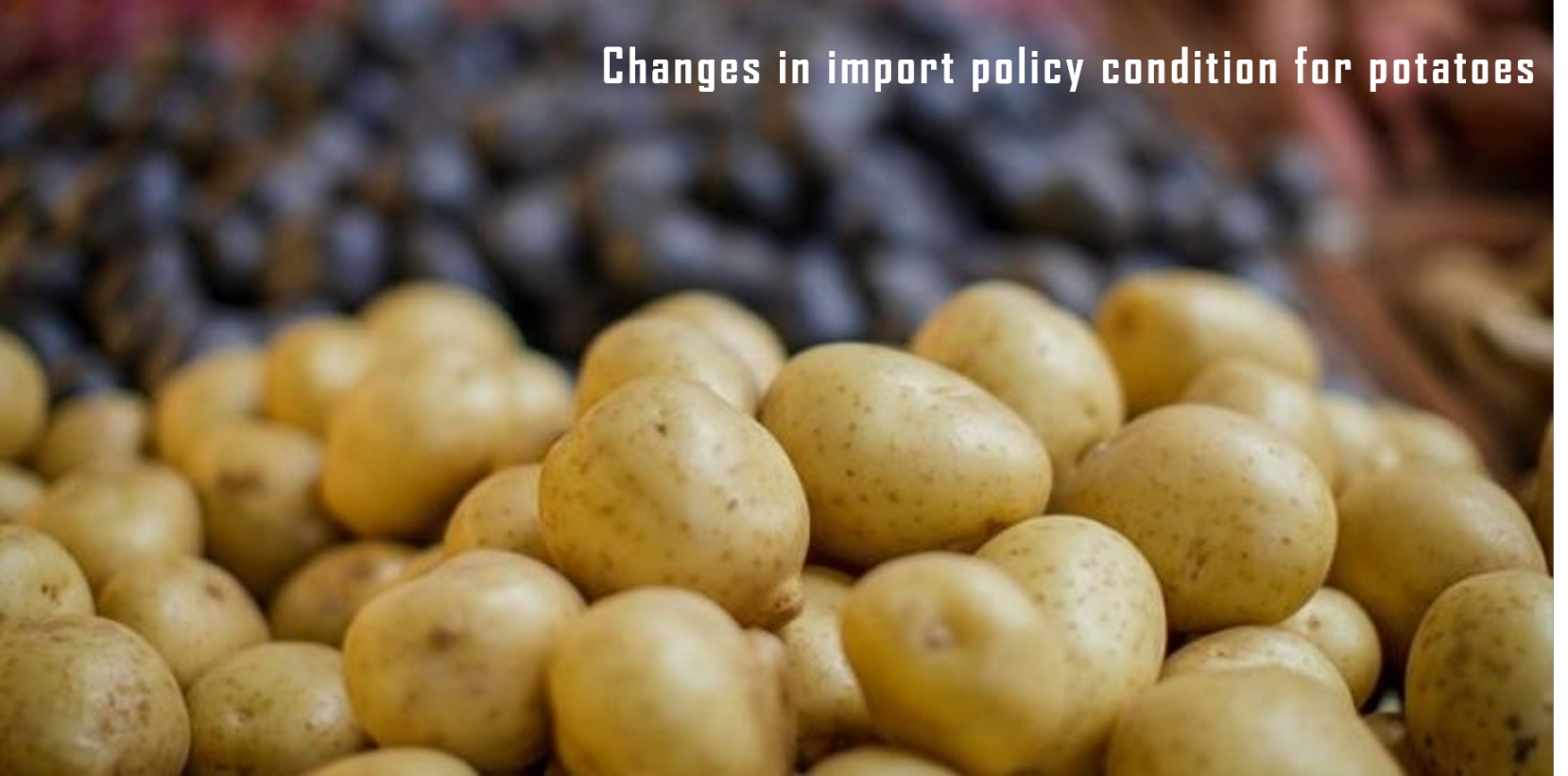 Import of Potatoes
