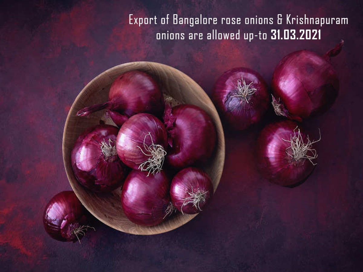 Export of Bangalore Rose Onions and Krishnapuram Onions