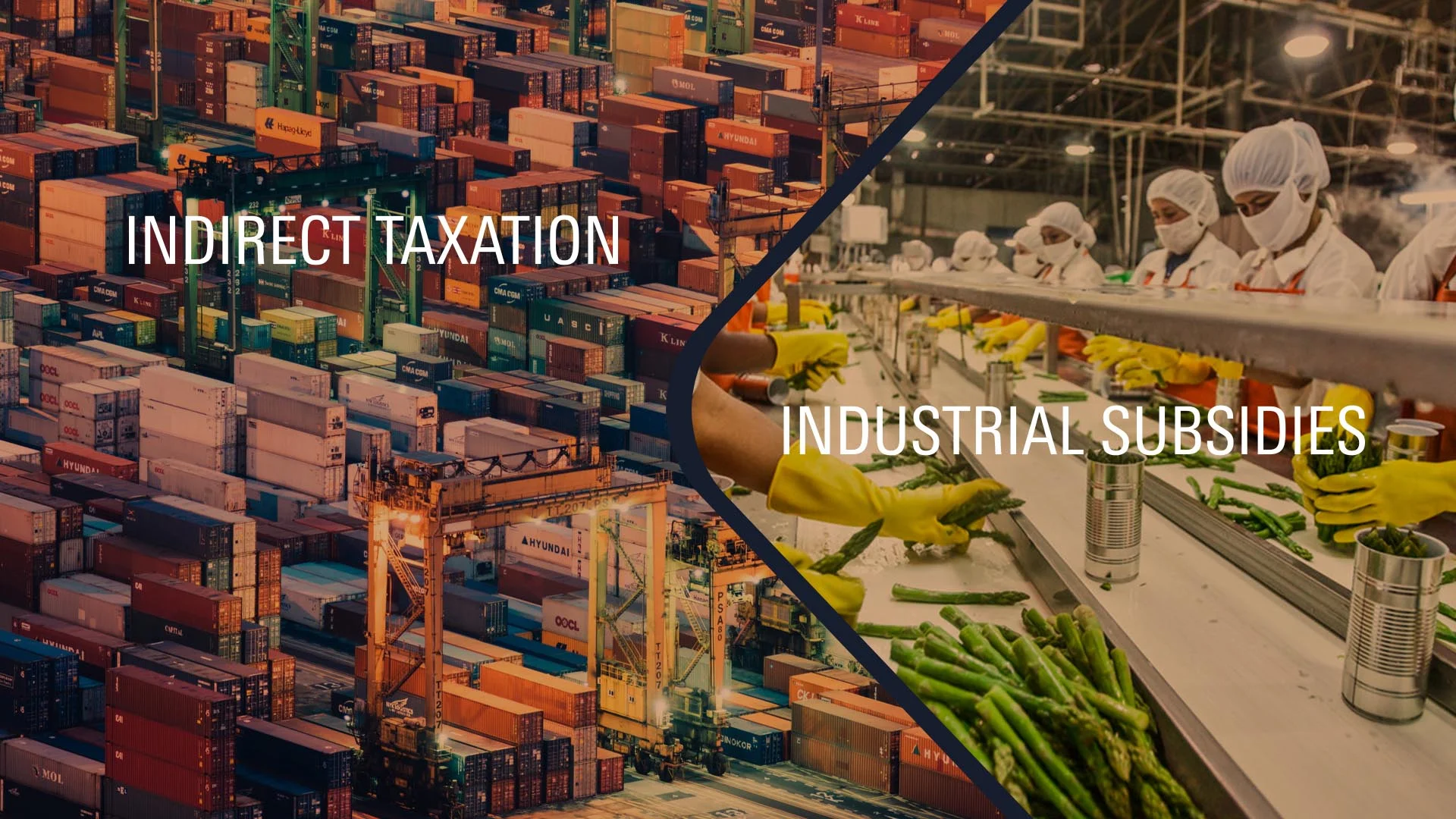 Indirect Taxation